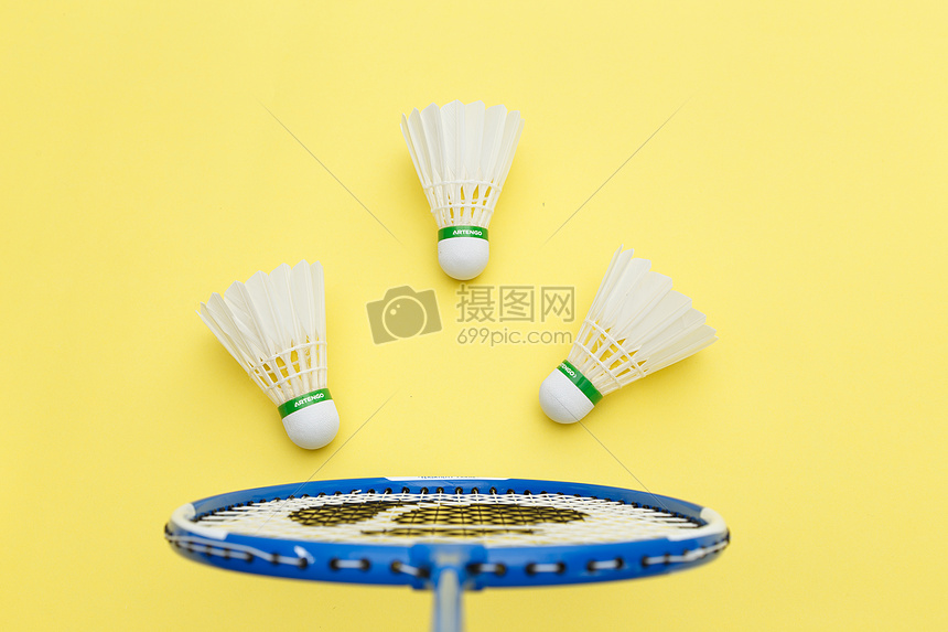 下半区草龙 下半区草龙