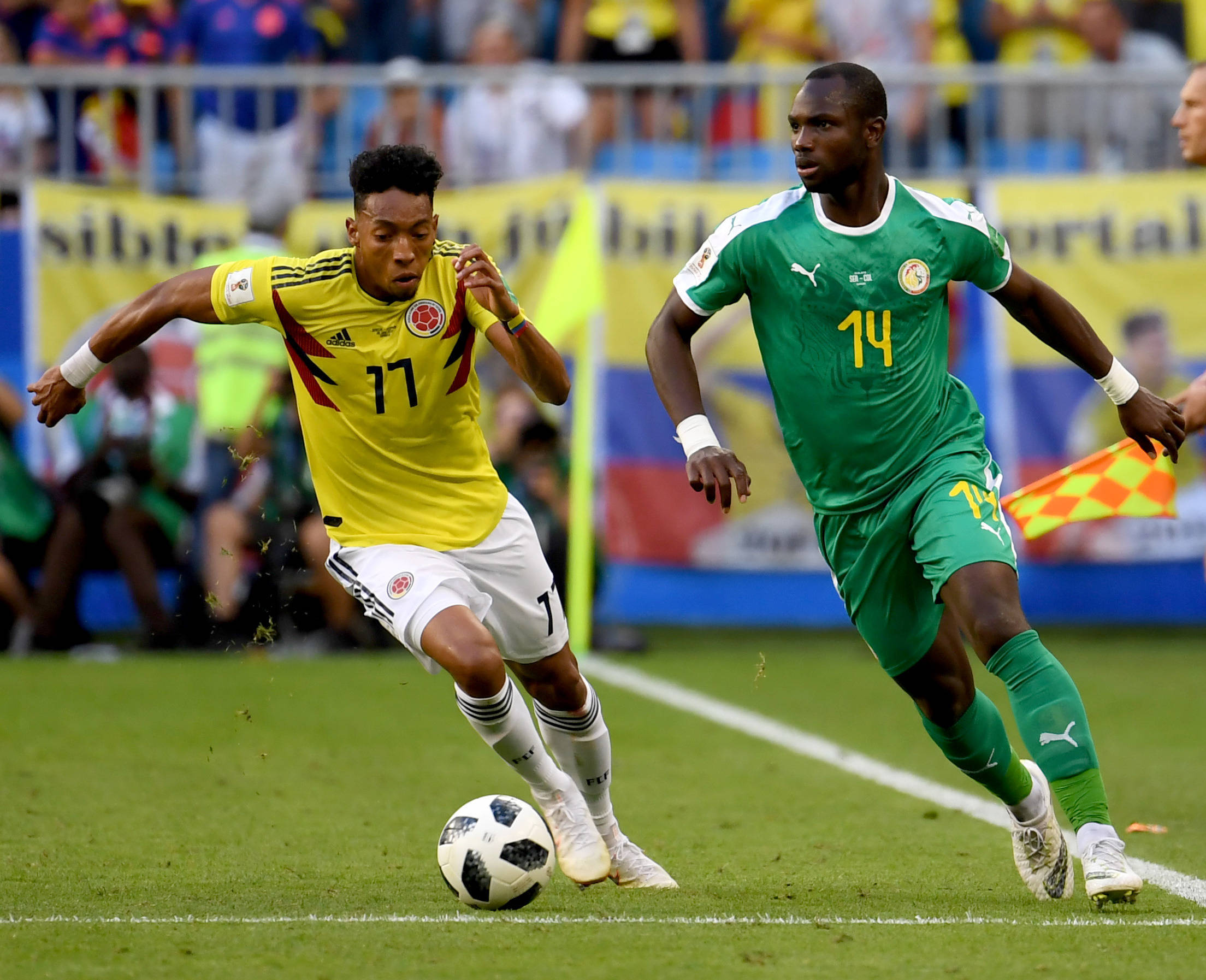 成卫冕的球 成卫冕的球